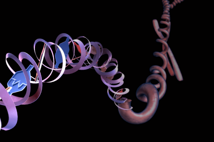 Polynucleotide Treatment: Frontier in Skin Rejuvenation