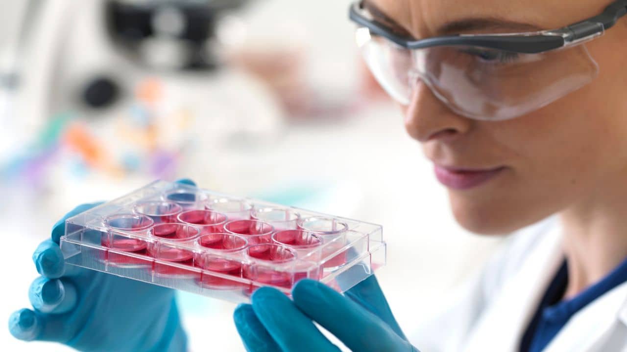 stem cell treatment in uk